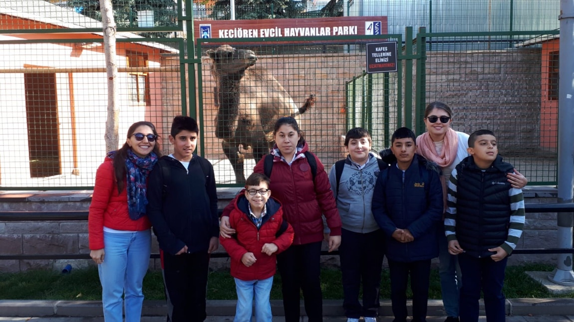 Öğrencilerimiz Keçiören Evcil Hayvan Parkında